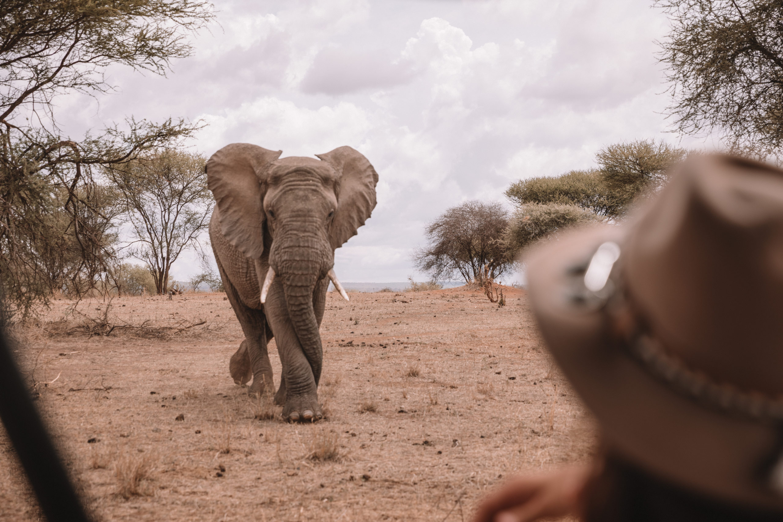 3 días de safari en Tanzania