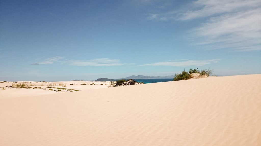 Las dunas de Corralejo, Fuerteventura.